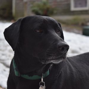 Meet your Posher, Jeanine